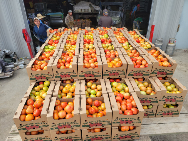 Légumier Marcoux photo