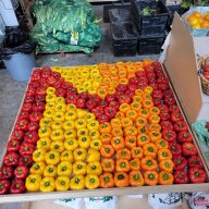 Légumier Marcoux photo