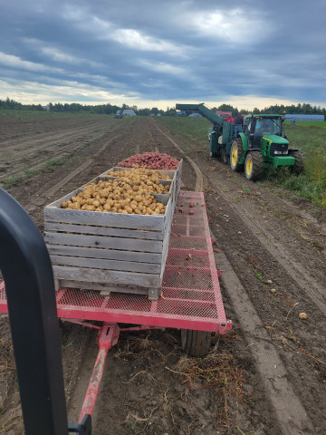 Légumier Marcoux photo